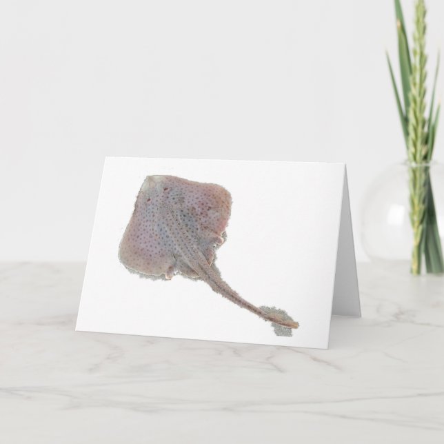 Skalanteckningskort Kort (Framsida)