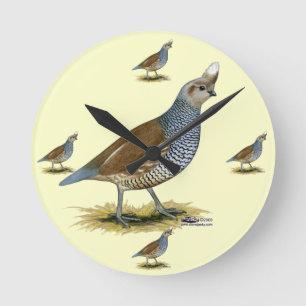 Skalapp Quail Rund Klocka