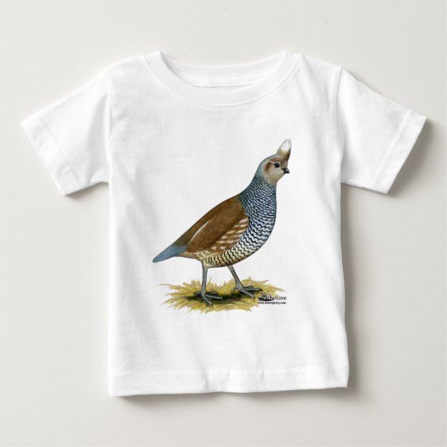 Skalapp Quail T-shirt (Framsida)