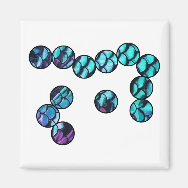 Skalar mikroskopmagnet magnet (Framsidan)