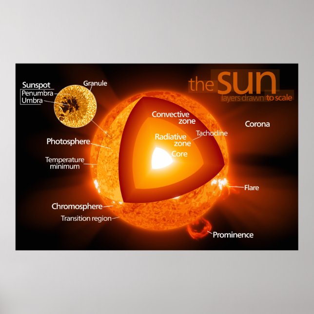 Skalat diagram över jordens Sol Poster (Framsidan)