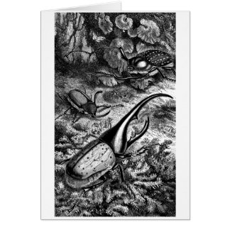 Skalbaggar Hälsningskort