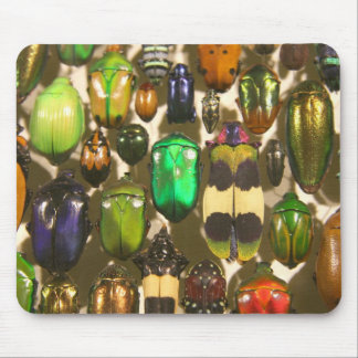 Skalbaggar, kryp och insekter musmatta