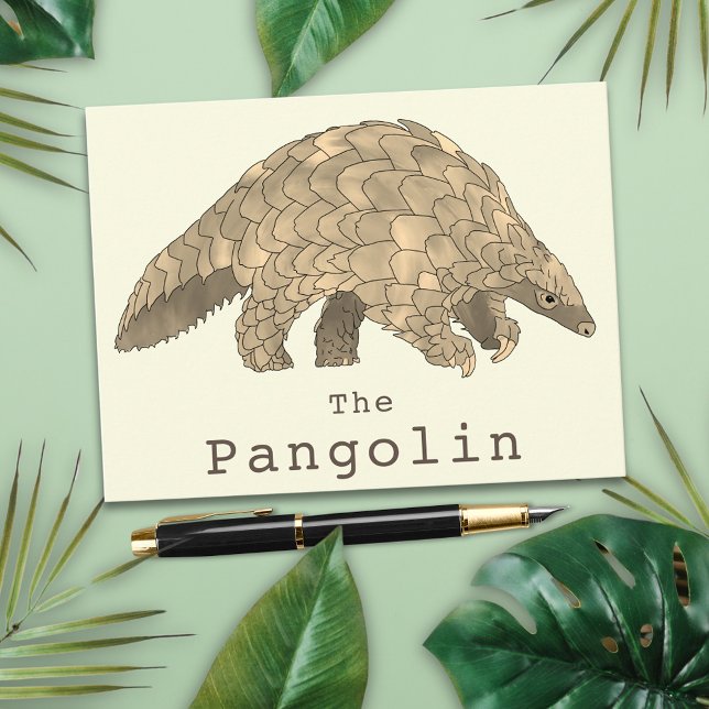 Skalbagge Vilda Djur Hotade Arter Djur Konst Vykort (Pangolin animal art greetings postcard)