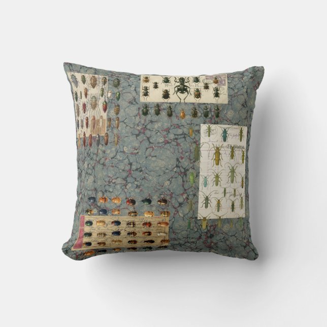 Skalbaggen kudder kudde (Framsida)