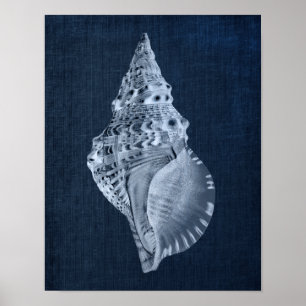 Skaldekaler för marinskvadromer och stranddykare poster