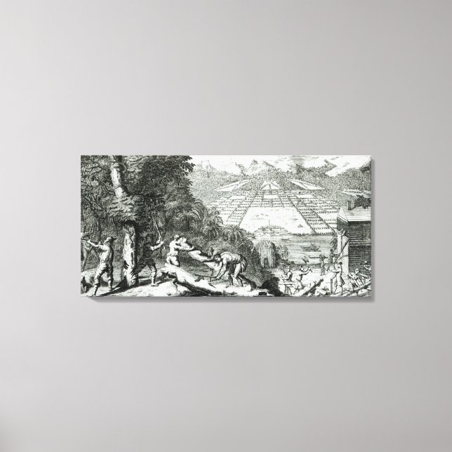 Skälen till inrättandet av kolonin canvastryck (Framsida)