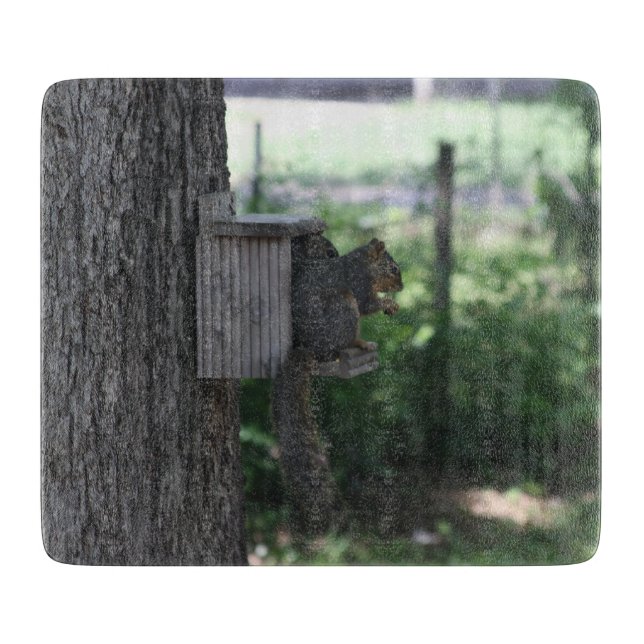 Skalfri styrelse (Framsidan)