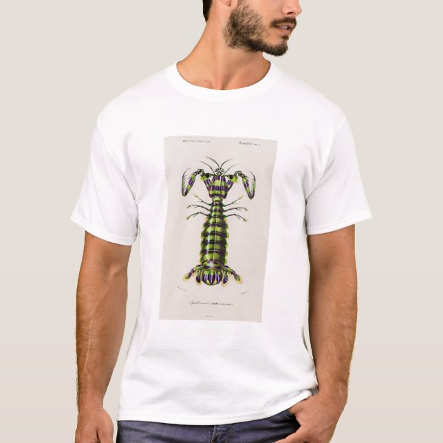 Skalillustration av mantis t shirt (Framsida)