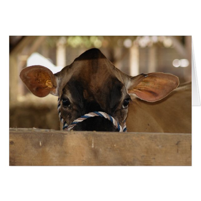 Skalkort för land OBS kort (Framsidan Horizontal)