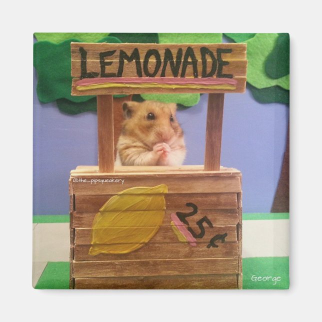 Skall du köpa lite lemonade? Söt Snälla? Magnet (Framsidan)