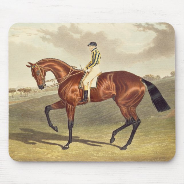 Skälla Middleton, vinnaren av Derbyen i 1836, Musmatta (Framsidan)