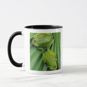 Skälla trädgrodan (hylagratiosaen) mugg