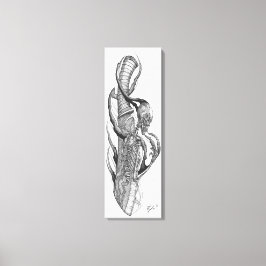 skallblad 3 canvastryck