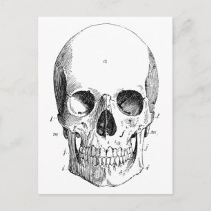 Skalldiagram postkort vykort