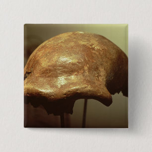 Skalle av en Neanderthal Knapp
