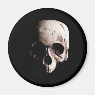 Skalle Magnet