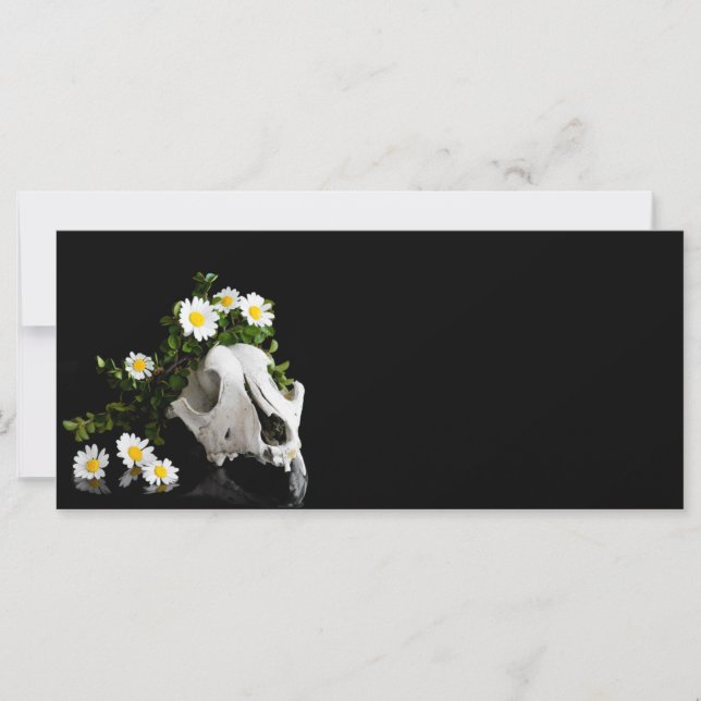 Skalle med krans av vild blomma (Framsida)