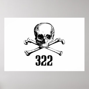 Skalle och ben 322 poster