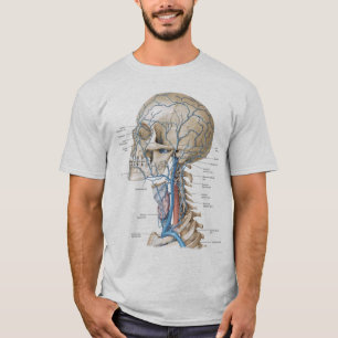 Skalle och inpassade manar för t-shirt