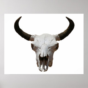 Skalle Poster