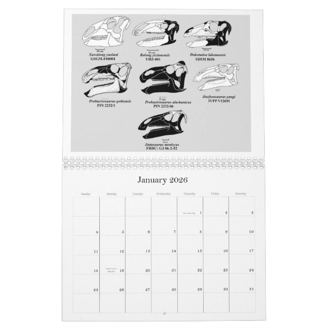 SKALLEKALENDER 2012 FÖR HADROSAUR KALENDER (Jan 2026)