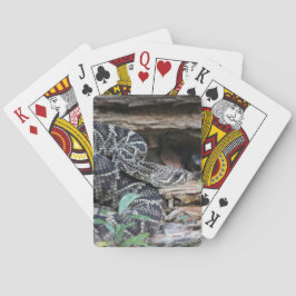 Skallerorm Casinokort