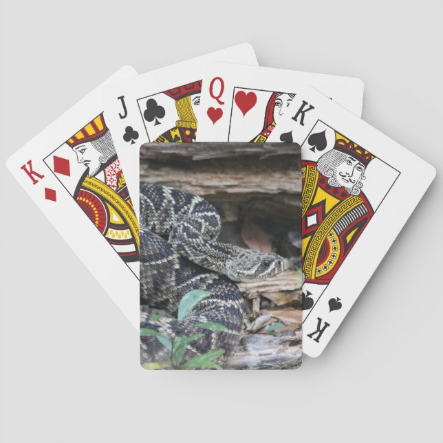Skallerorm Casinokort (Baksidan)