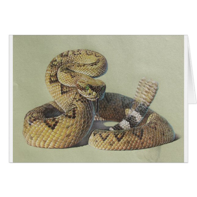 Skallerorm Hälsningskort (Framsidan Horizontal)