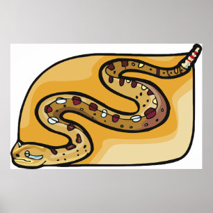 Skallerorm Hoprullad orm Sydvästliga öknen Poster