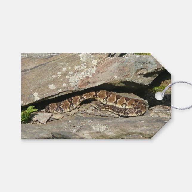 Skallerorm i Shenandoah National Park Presentetikett (Framsidan (Horisontell))