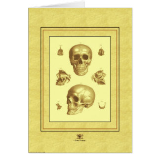 "Skallesamling ", Hälsningskort