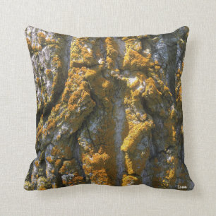 SKÄLLET MED MOSS - KUDDE