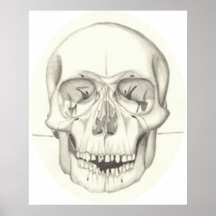 Skalletryck Poster