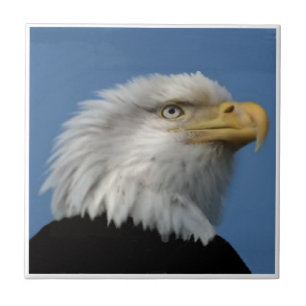SKALLIG EAGLE-TILE KAKELPLATTA