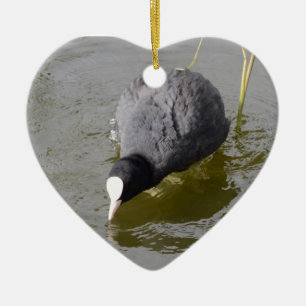 Skallig hövdad Coot Julgransprydnad Keramik