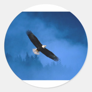 Skallig-Örn-Alaska Runt Klistermärke