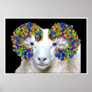 Skalliknande Ram Poster