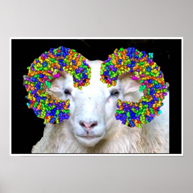 Skalliknande Ram Poster (Framsidan)