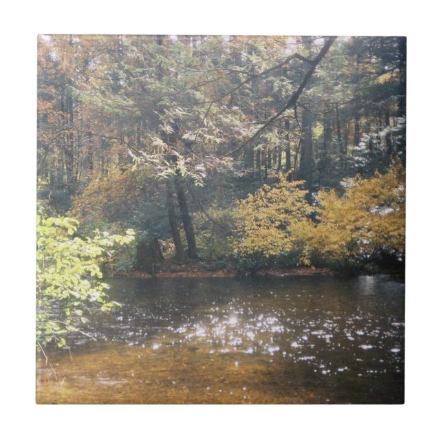 Skalning Kakelplatta (Framsidan)