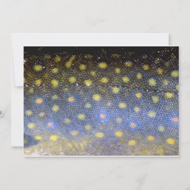 Skalor för brokörnfisk i Party Inbjudningar (Framsida)