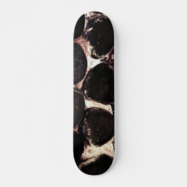 Skalstoner ~ Skateboard Bräda 20,5 Cm (Framsida)