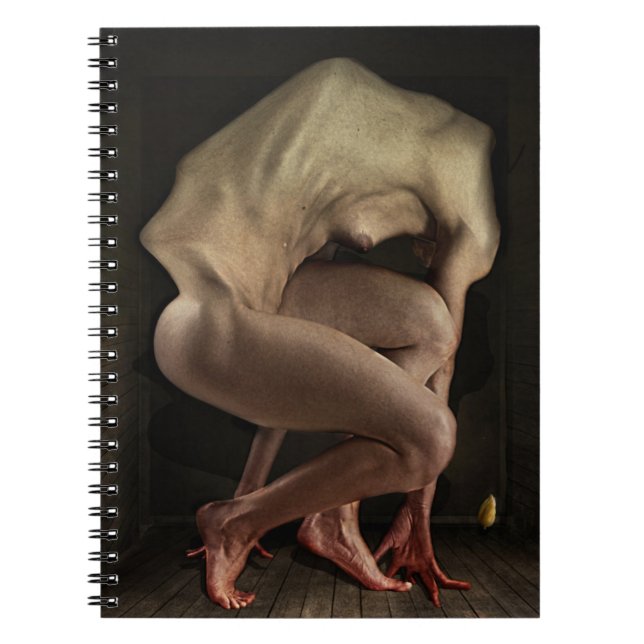 Skam 2012 anteckningsbok med spiral (Framsidan)