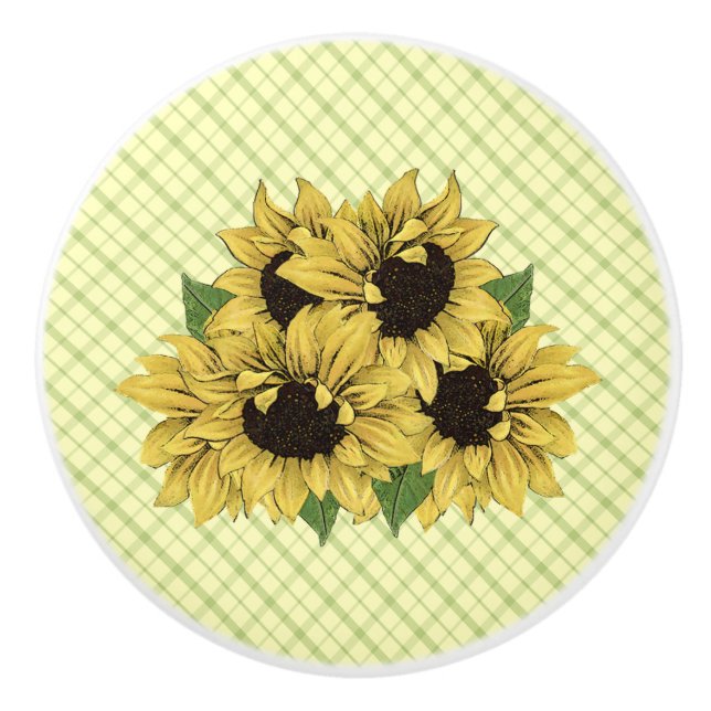 Skämmande solblommor på fickorna knopp (Framsidan)