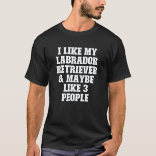 Skämt Pappa jag gillar min Labrador Retriever & k T Shirt
