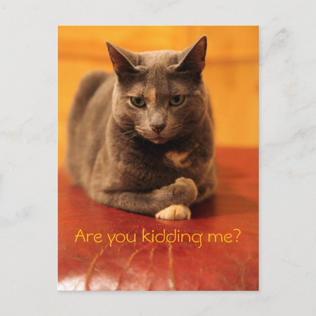 Skämtar du med mig? vykort (Framsida)