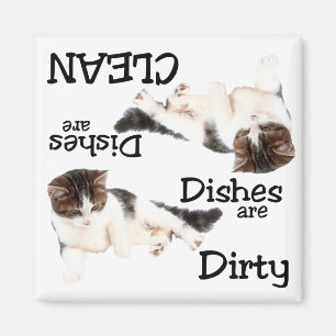 Skämtsam kattdiskaremagnet magnet
