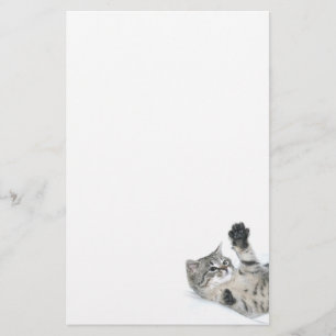 Skämtsam kattunge brevpapper