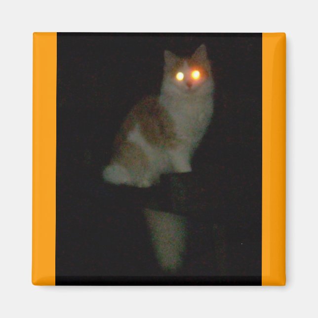 skämtsam kattunge magnet (Framsidan)