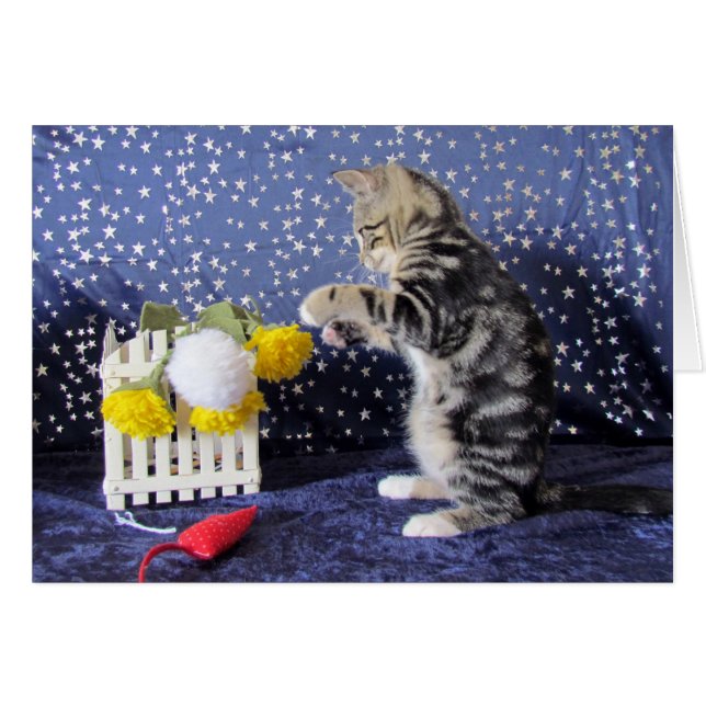 Skämtsam liten flicka - Lilo Hälsningskort (Framsidan Horizontal)